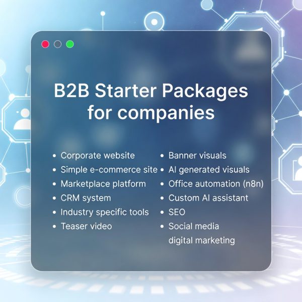 B2B Starter Packages